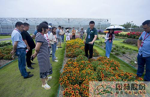 AG尊龙凯时官网(中国游)首页