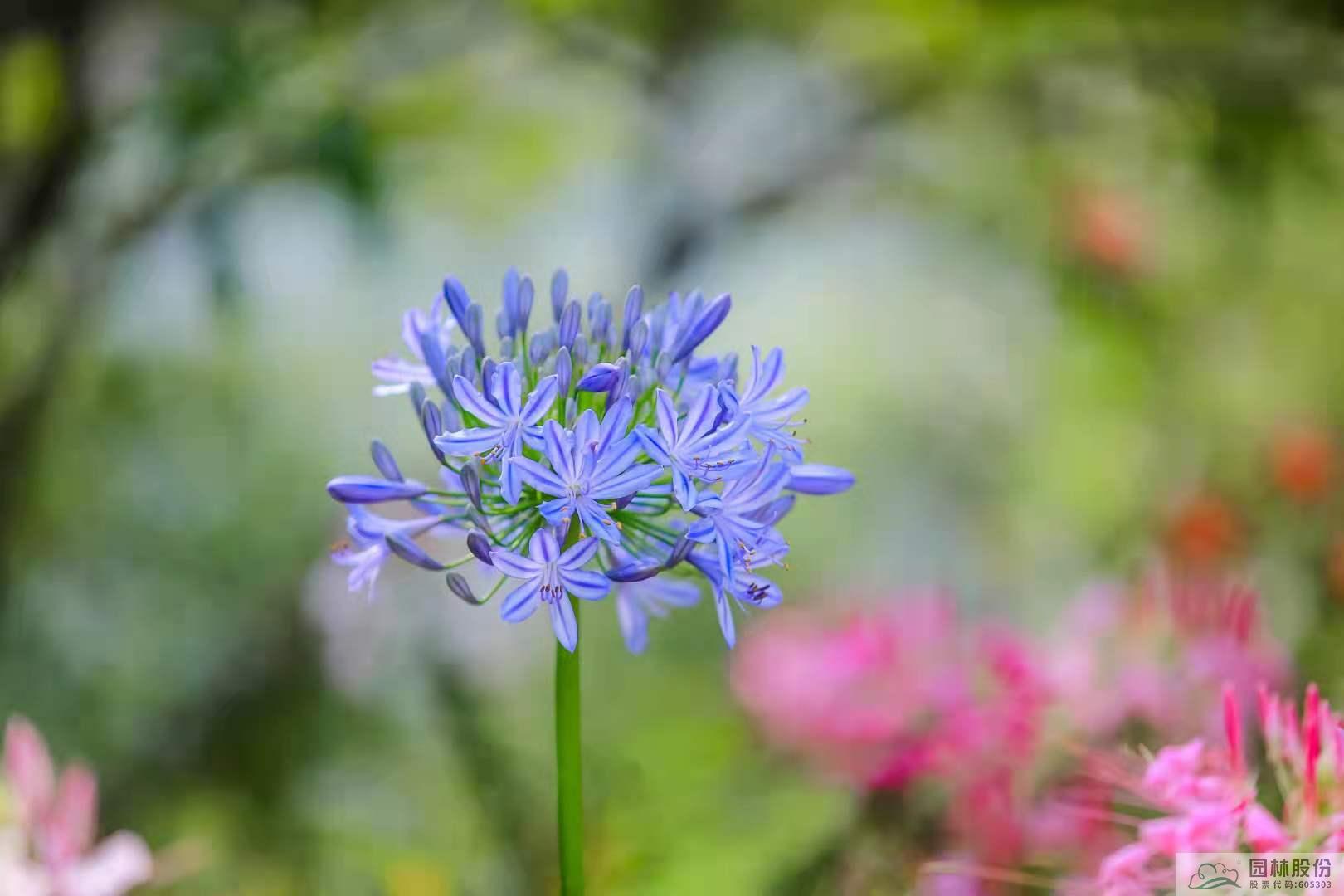 AG尊龙凯时官网(中国游)首页