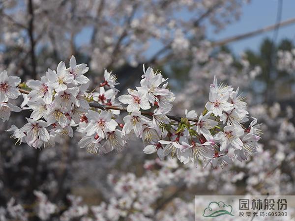 AG尊龙凯时官网(中国游)首页