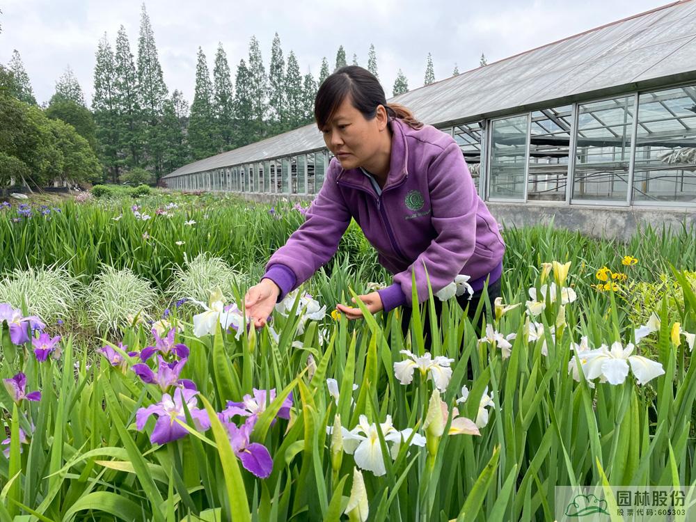 AG尊龙凯时官网(中国游)首页