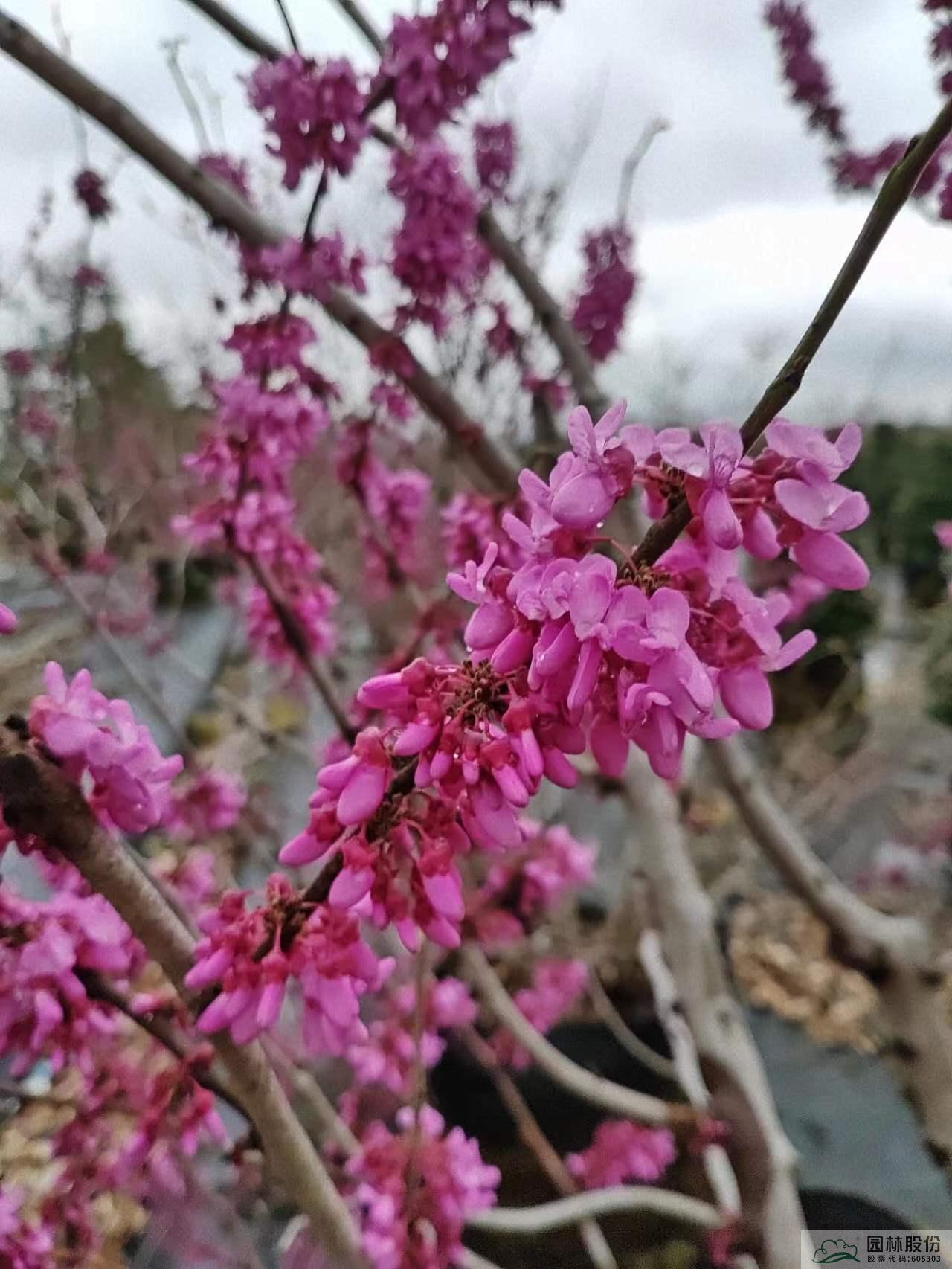 AG尊龙凯时官网(中国游)首页