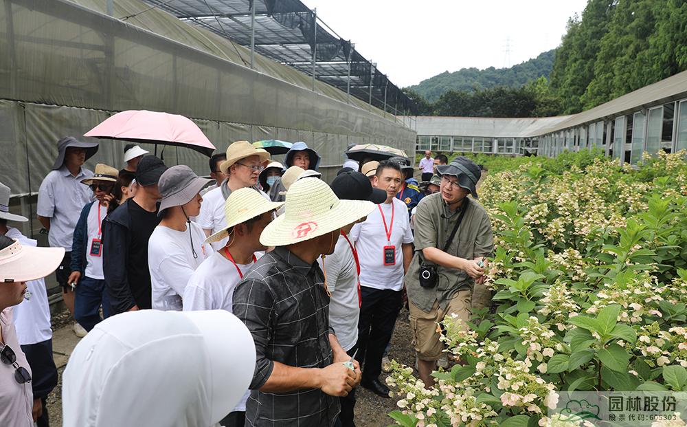 AG尊龙凯时官网(中国游)首页